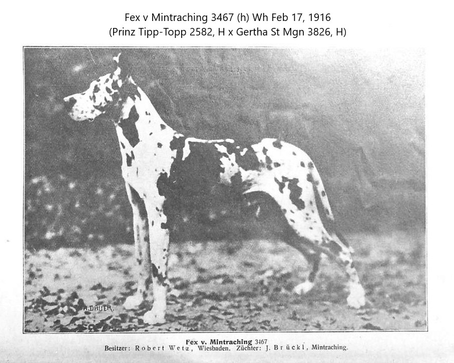 Fex v Mintraching